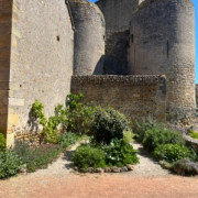 Atelier découverte Mon herbier