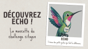 Écho, le Colibri citoyen 🐦