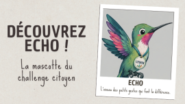 Écho, le Colibri citoyen 🐦